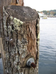 Boothbay Harbour - Oct 2004