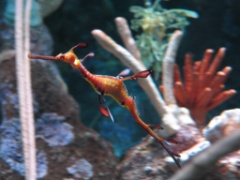 New England Aquarium - March 2004