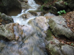 IMG_1900