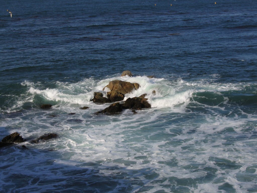 IMG_1399