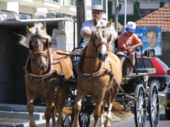IMG_0744
