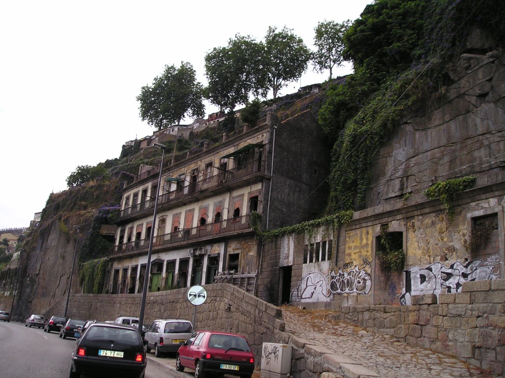 P1010029