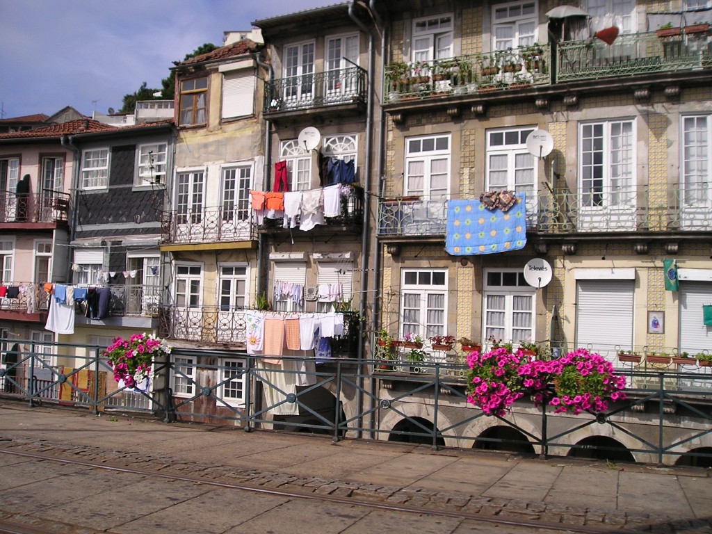 P1010033