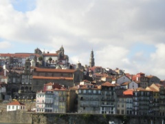 P1010013