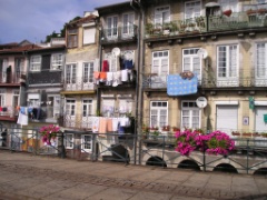 P1010033