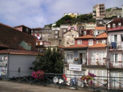 P1010034