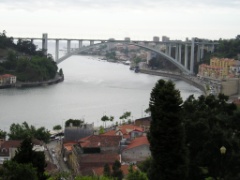 P1010041