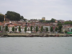 P1010072