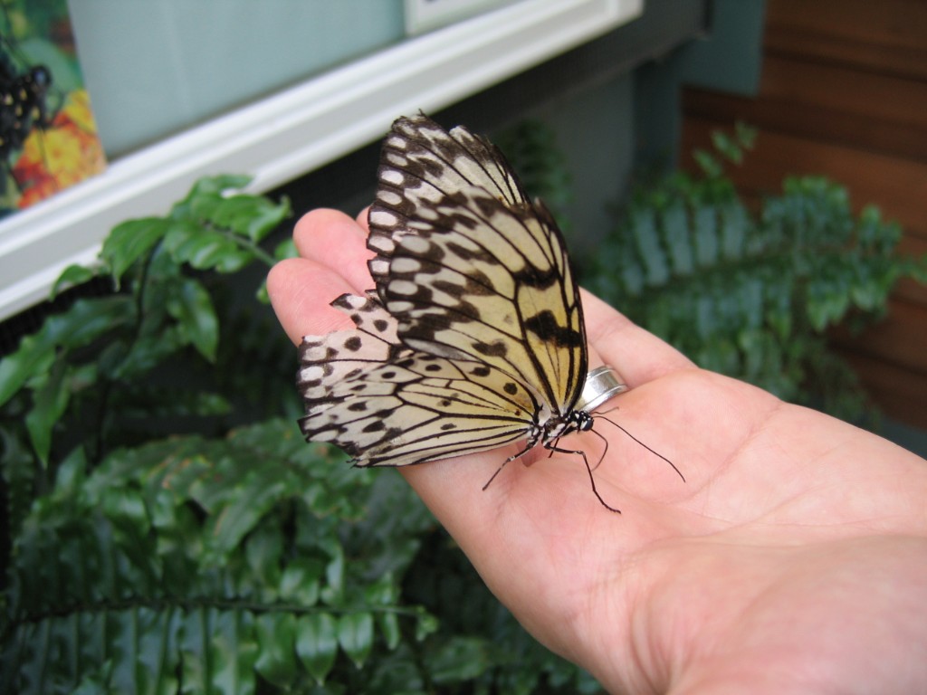 IMG_3270