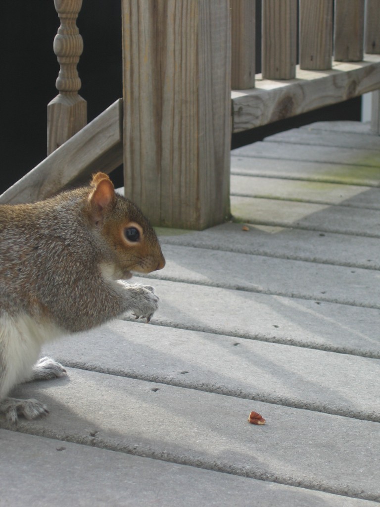 IMG_5040