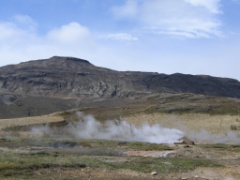 IMG_3769