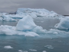 IMG_3888