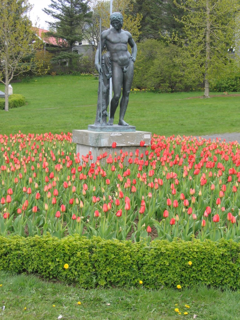 IMG_3587