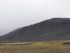IMG_3934
