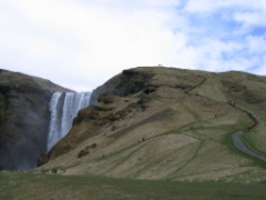 IMG_3984