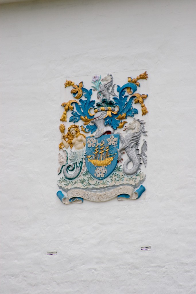 _MG_6906