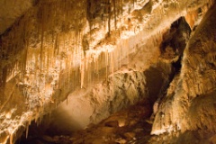 _MG_6649