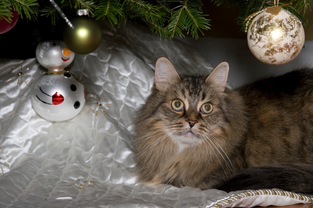2008-12_XmasCard_006