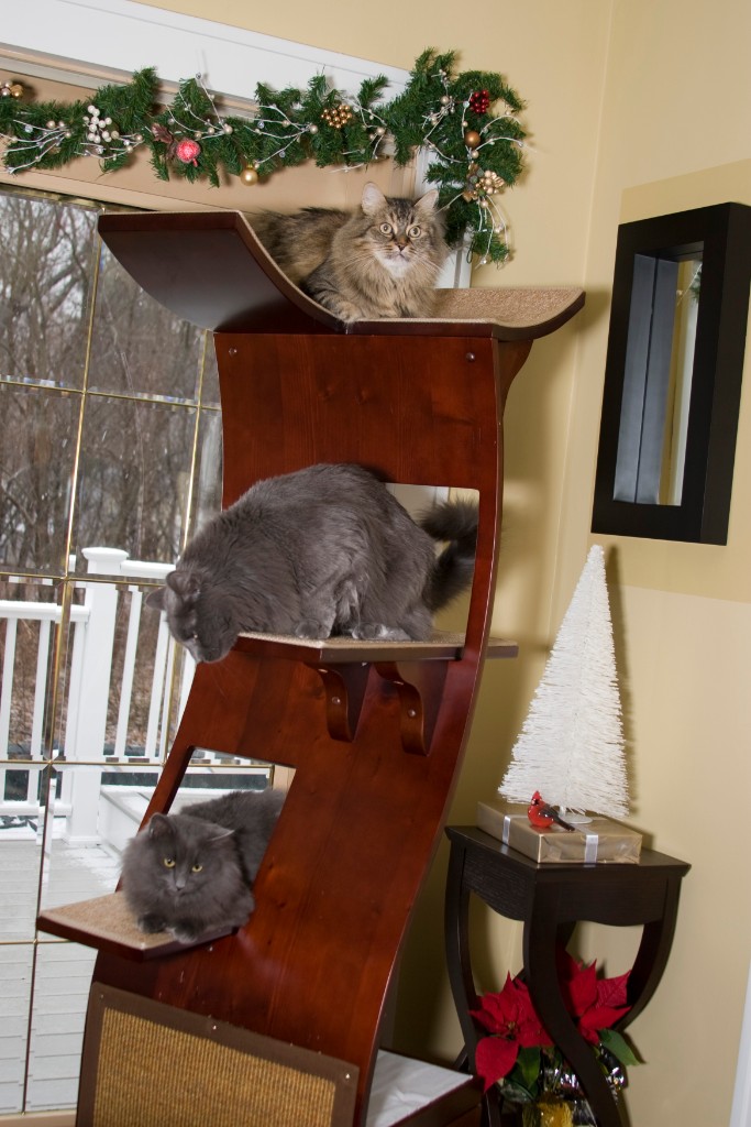 2008-12_XmasCard_041