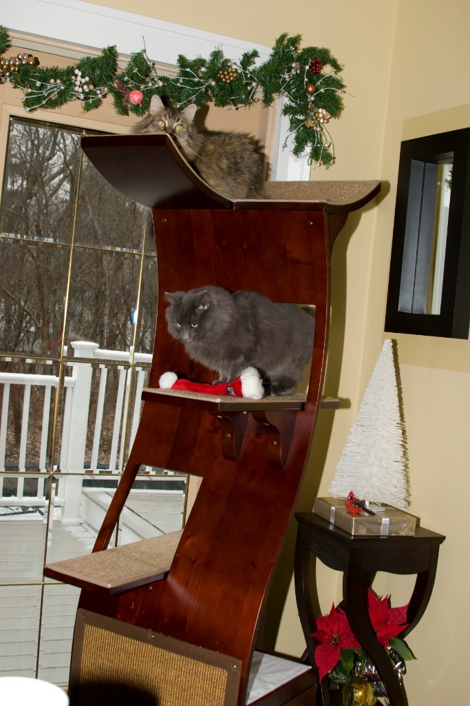 2008-12_XmasCard_063