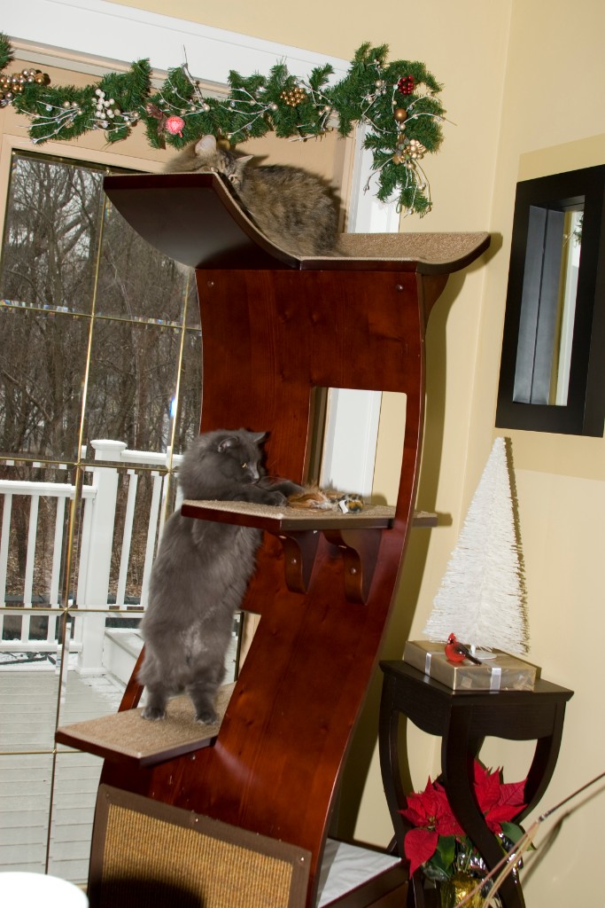2008-12_XmasCard_072