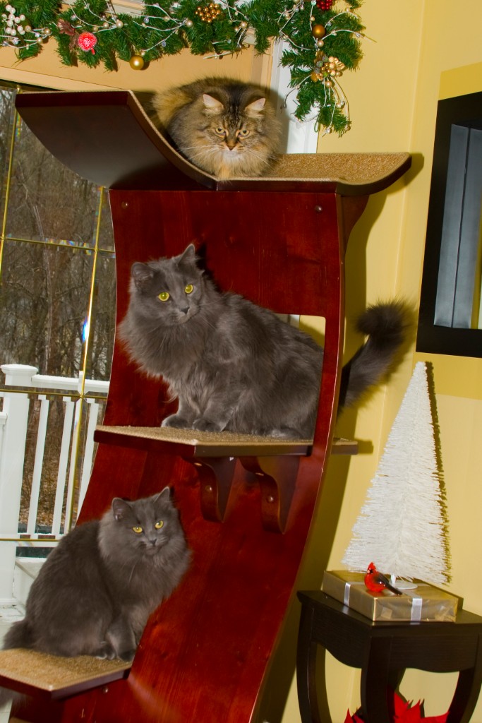 2008-12_XmasCard_089
