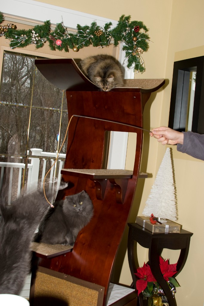 2008-12_XmasCard_092