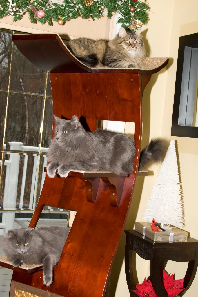 2008-12_XmasCard_126