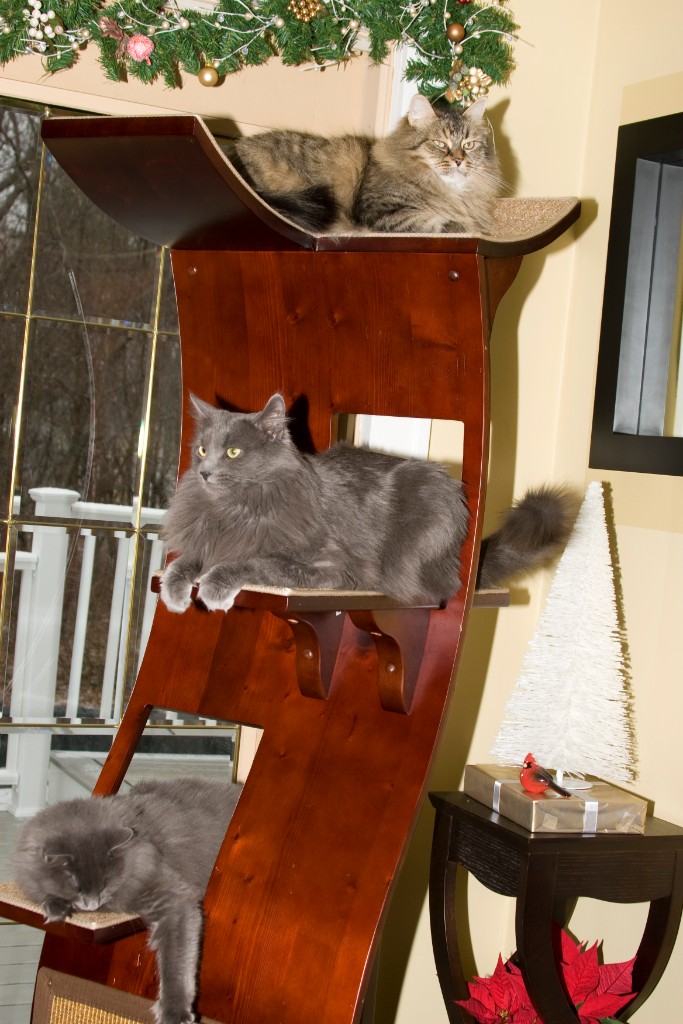 2008-12_XmasCard_127