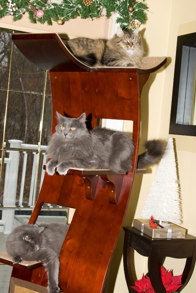 2008-12_XmasCard_128
