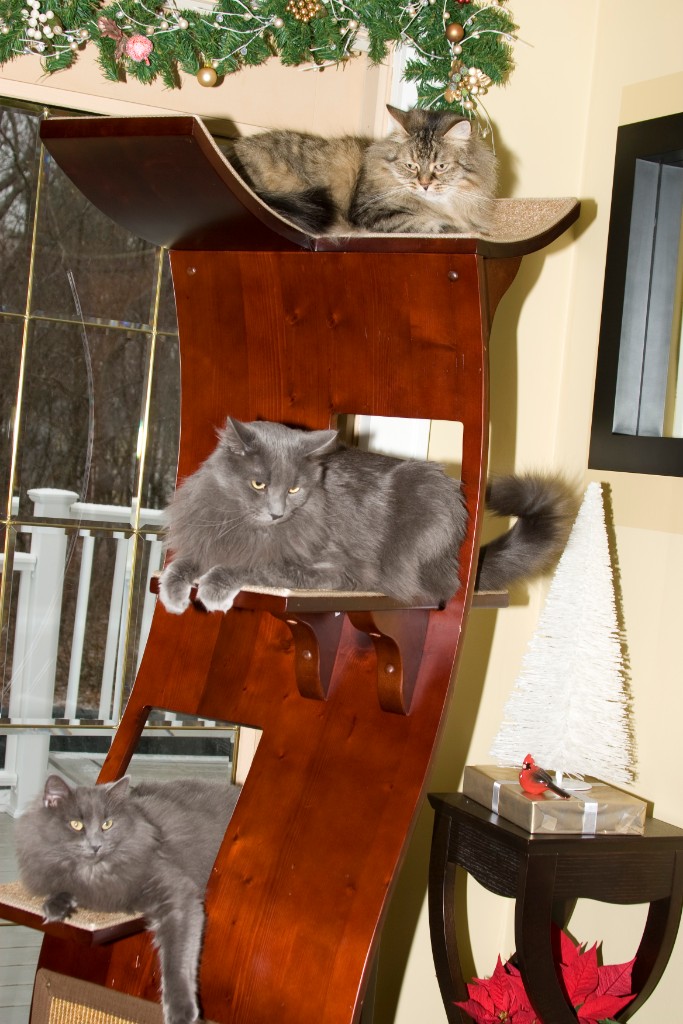 2008-12_XmasCard_129