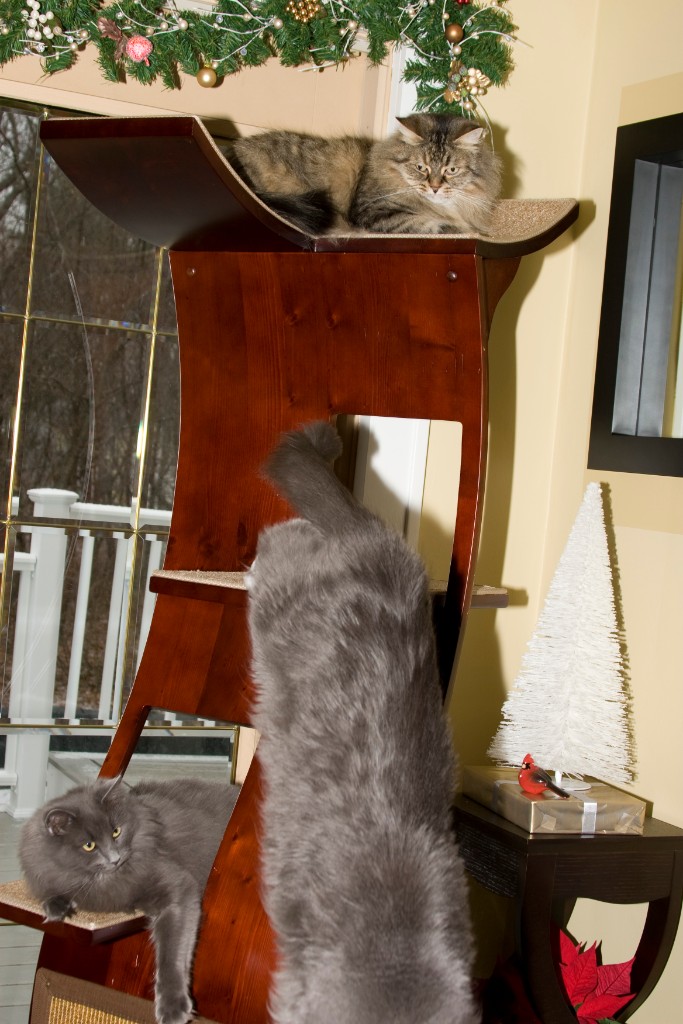 2008-12_XmasCard_131
