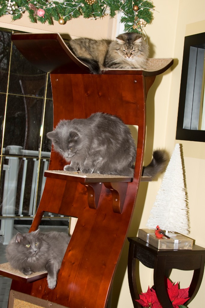 2008-12_XmasCard_136