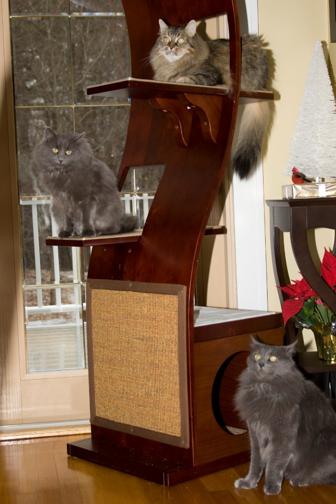 2008-12_XmasCard_147