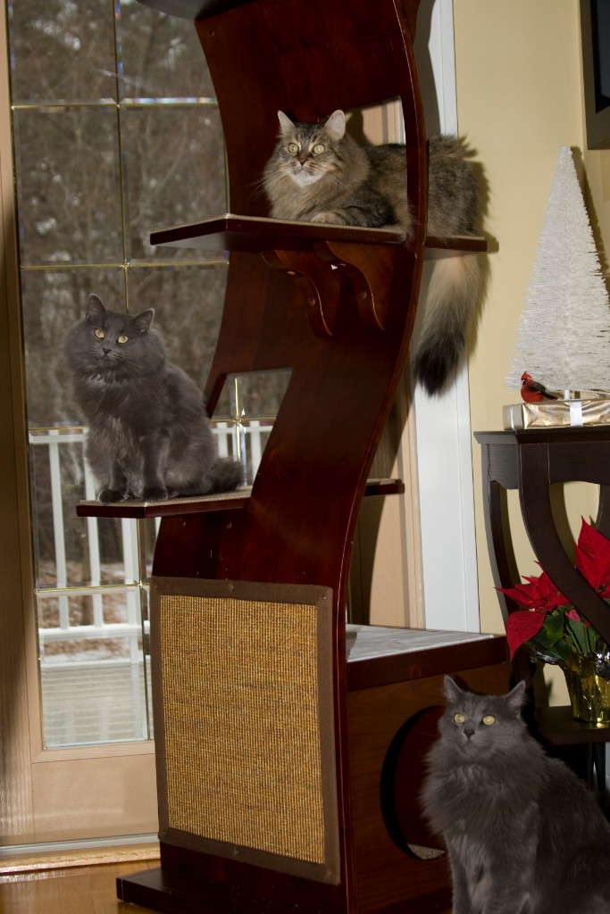 2008-12_XmasCard_149