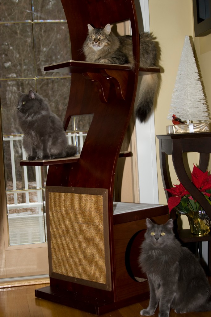2008-12_XmasCard_151