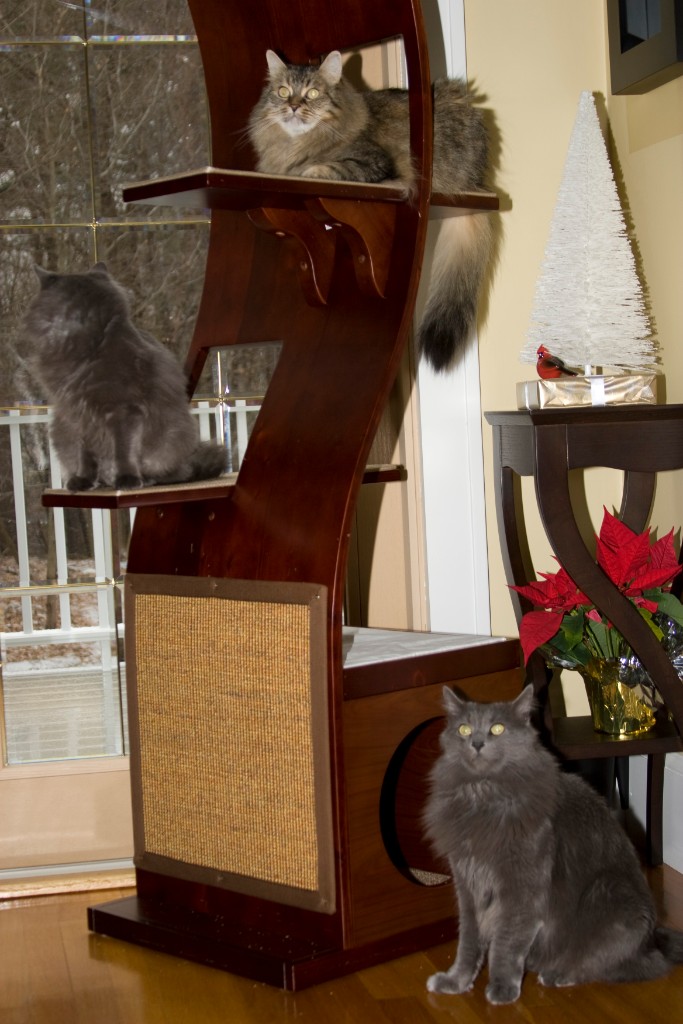 2008-12_XmasCard_152