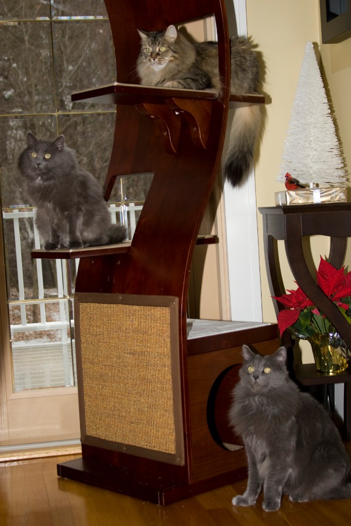 2008-12_XmasCard_154