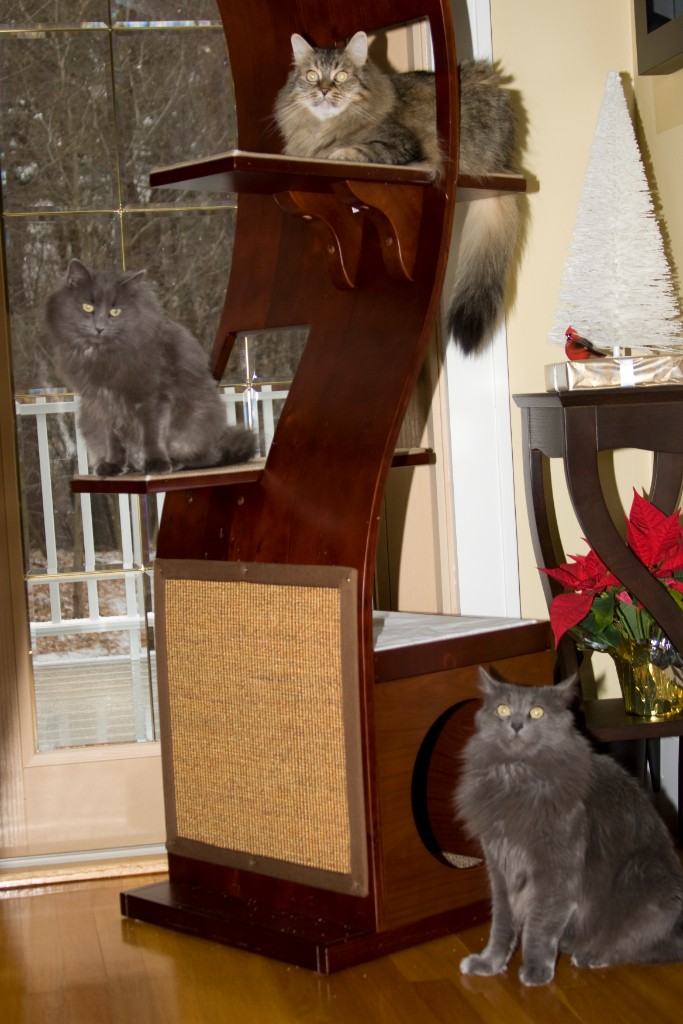 2008-12_XmasCard_155