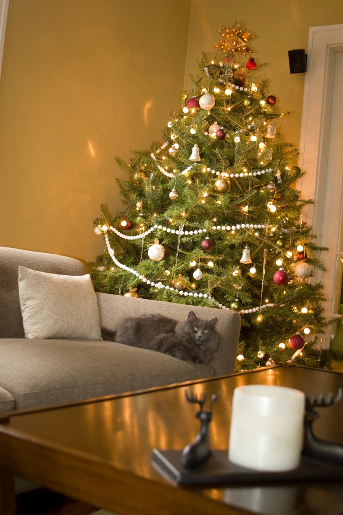 2008-12_XmasCard_188