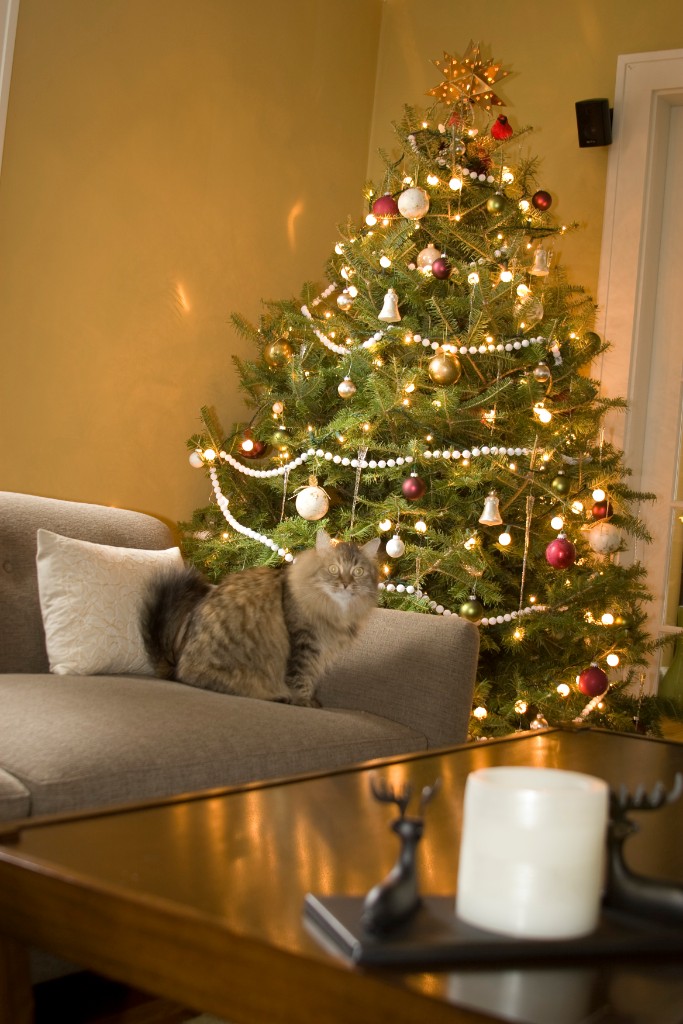 2008-12_XmasCard_203