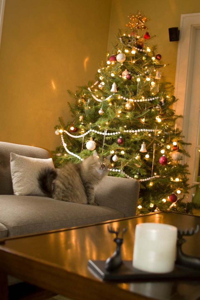 2008-12_XmasCard_207