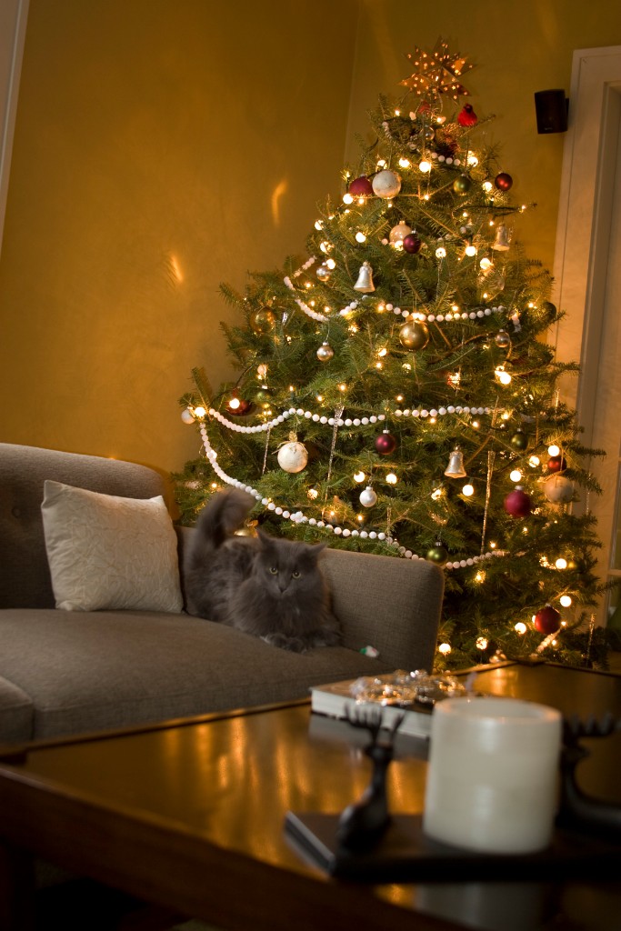 2008-12_XmasCard_216