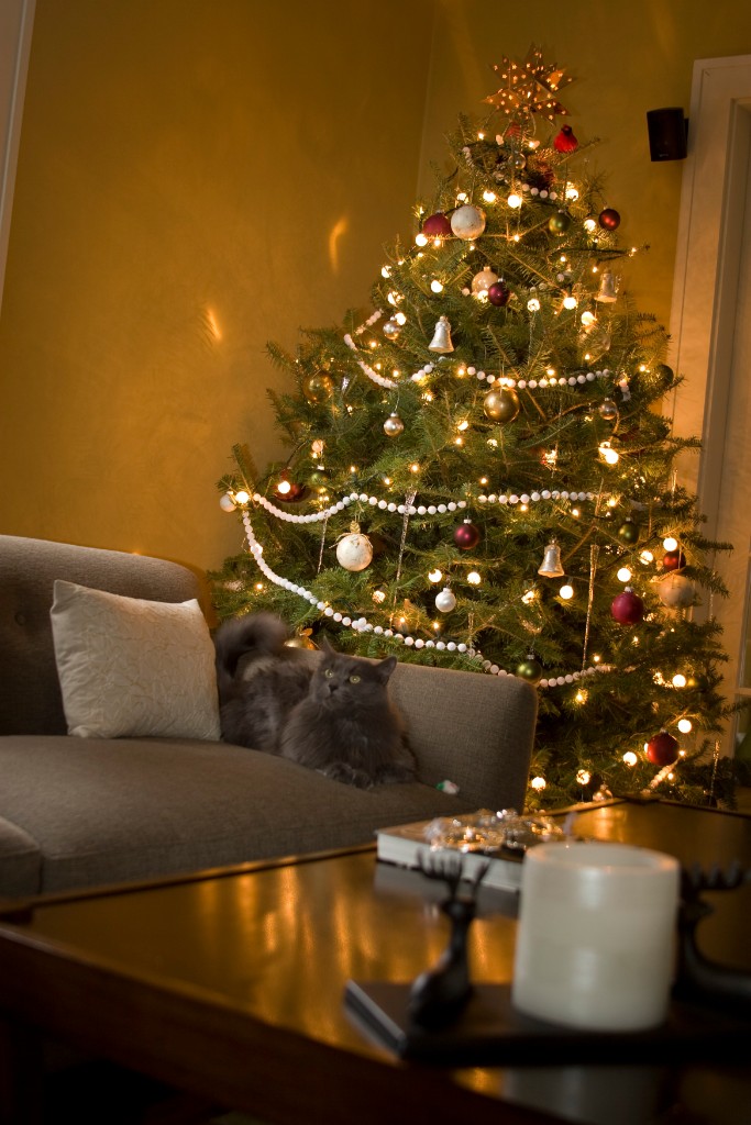 2008-12_XmasCard_222