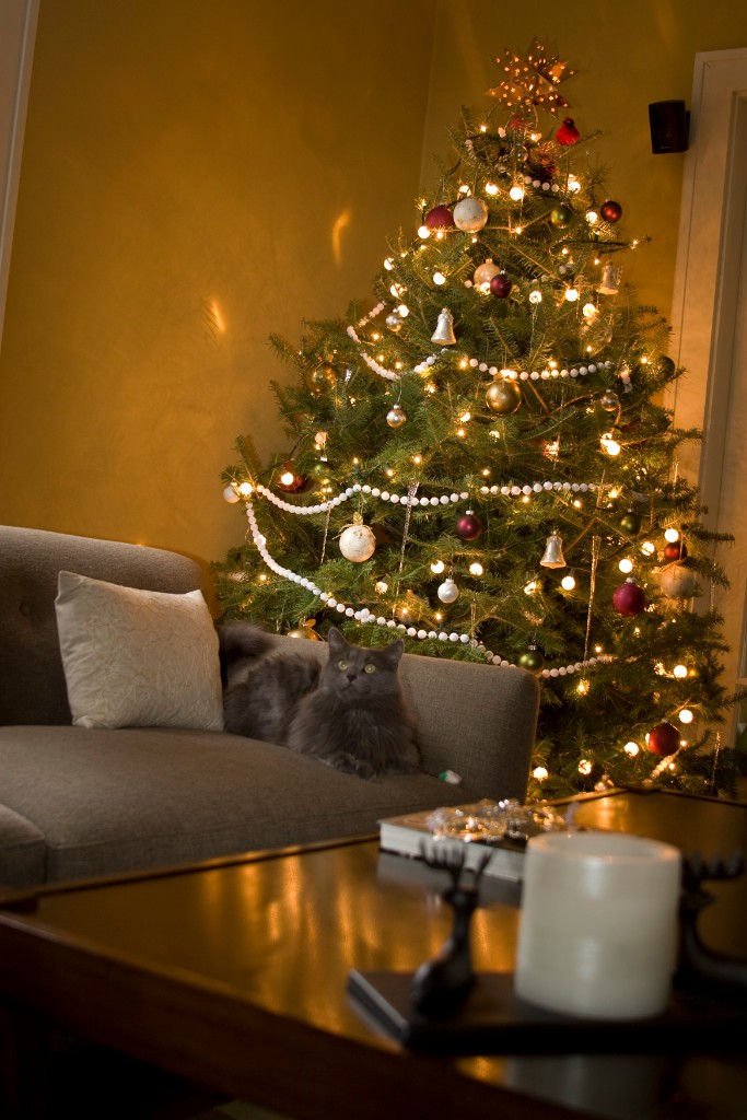 2008-12_XmasCard_234