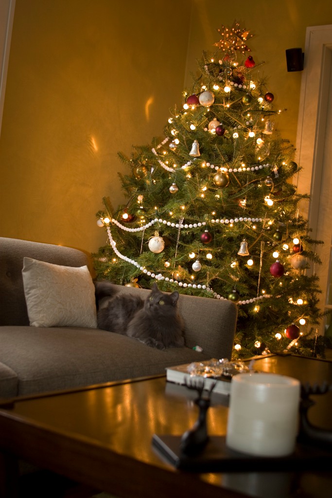 2008-12_XmasCard_238