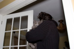 2008-12_XmasCard_003