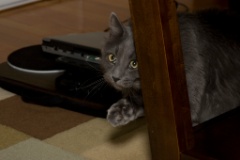2008-12_XmasCard_005