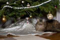 2008-12_XmasCard_007