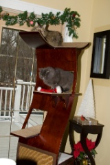 2008-12_XmasCard_063